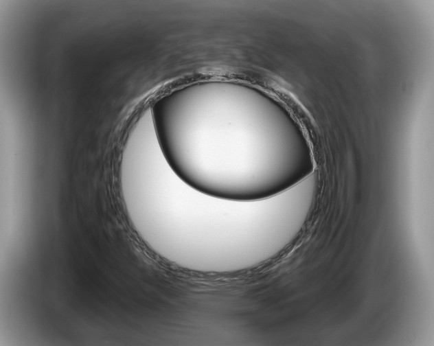 X0000087611304200704271054