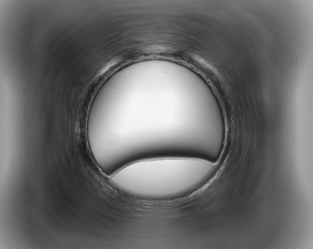 X0000087611305200704271054