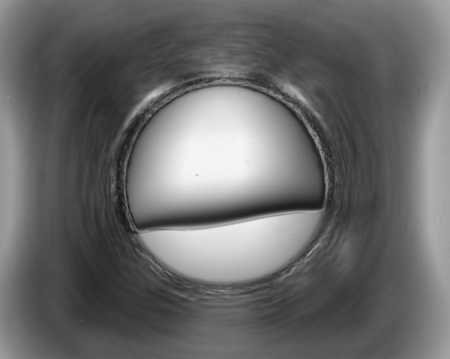 X0000087611307200704271054