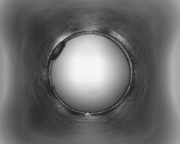 X0000087611308200704271054