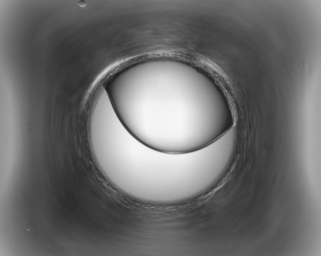 X0000087611310200704271054