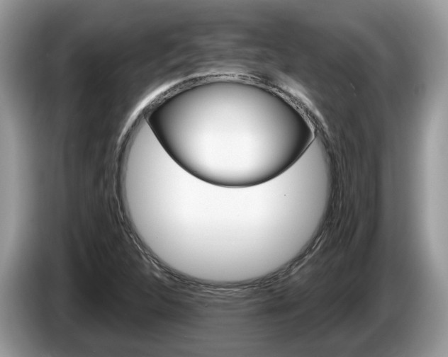 X0000087611312200704271054