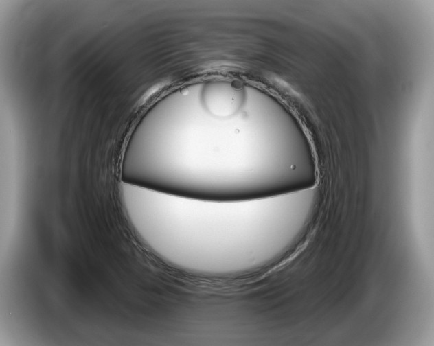 X0000087611313200704271054