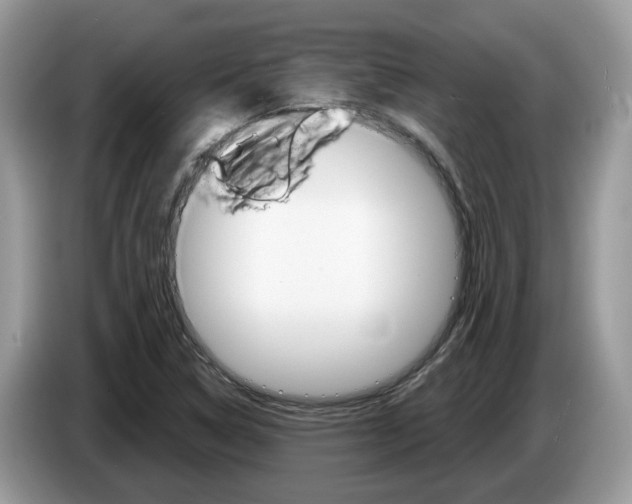X0000087611314200704271054