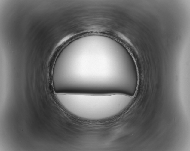 X0000087611315200704271054