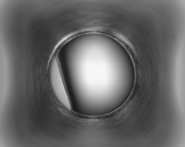 X0000087611316200704271054