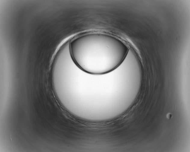 X0000087611320200704271054