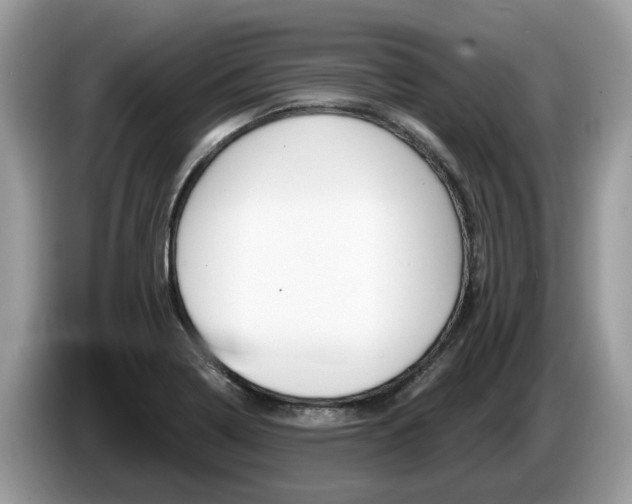 X0000087611322200704271054