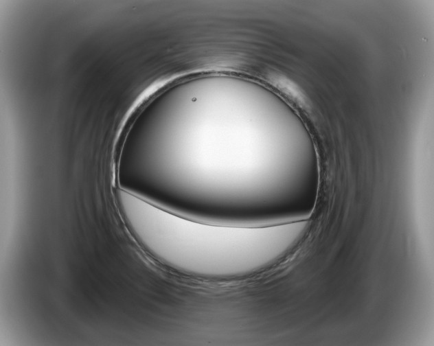 X0000087611324200704271054