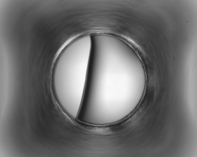 X0000087611325200704271054