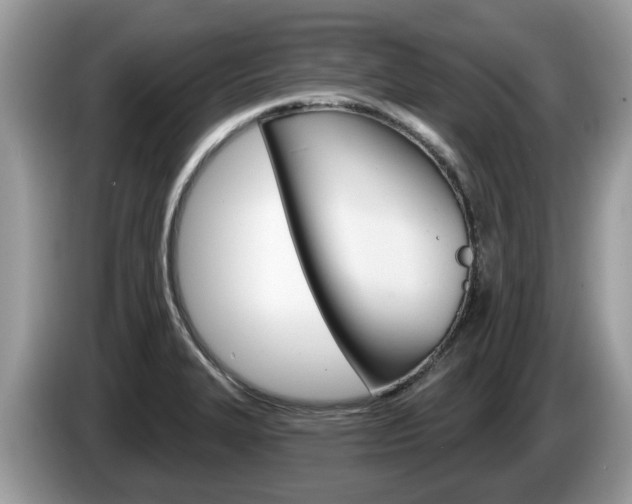 X0000087611327200704271054
