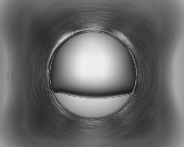 X0000087611332200704271054