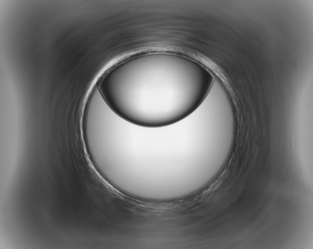 X0000087611334200704271054