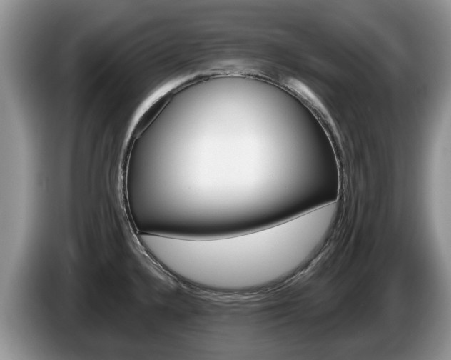 X0000087611336200704271054