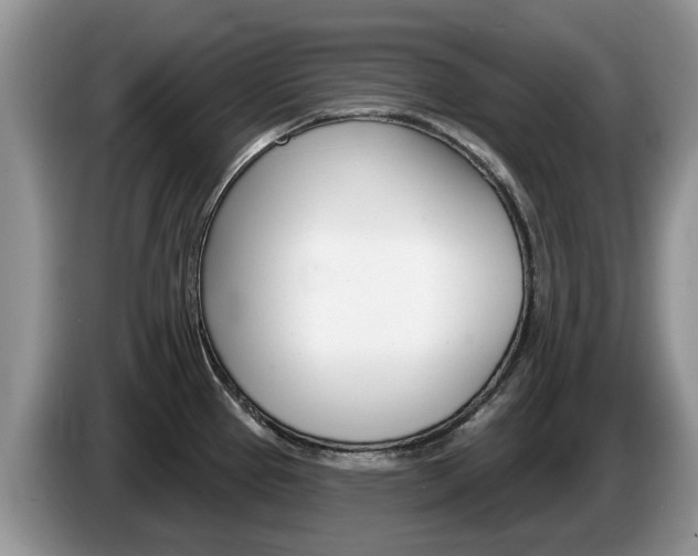 X0000087611337200704271054