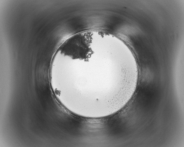 X0000087611338200704271054