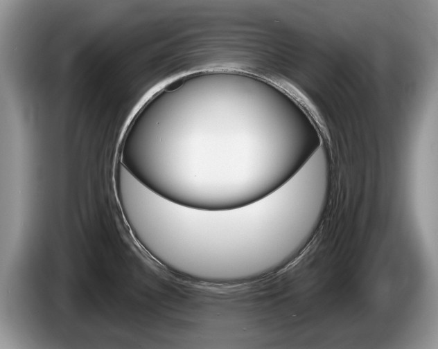 X0000087611340200704271054