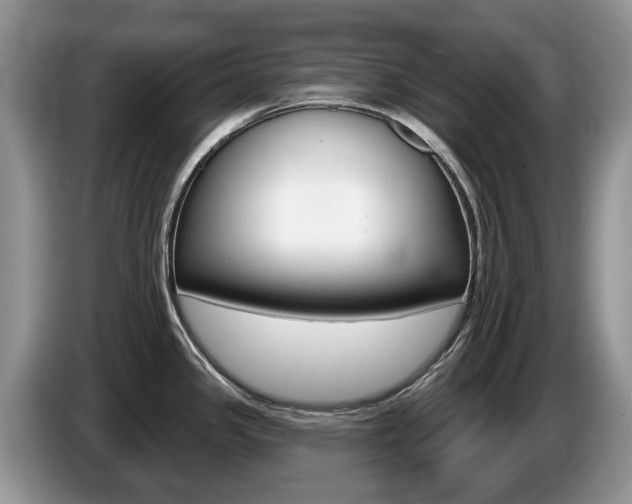 X0000087611341200704271054