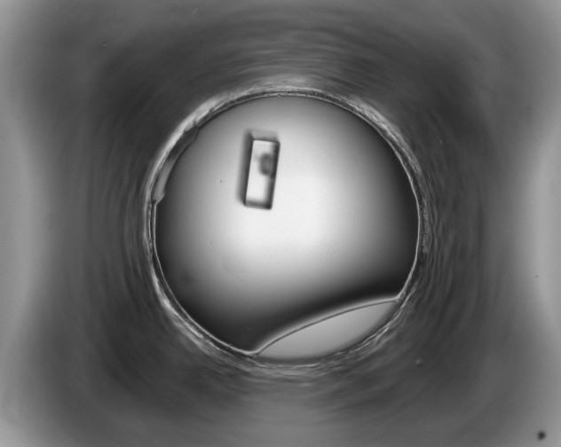 X0000087611342200704271054