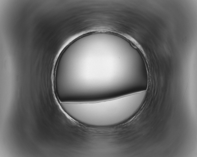 X0000087611343200704271054