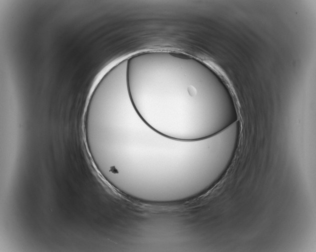 X0000087611344200704271054