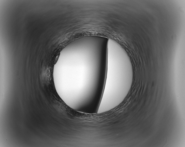 X0000087611347200704271053