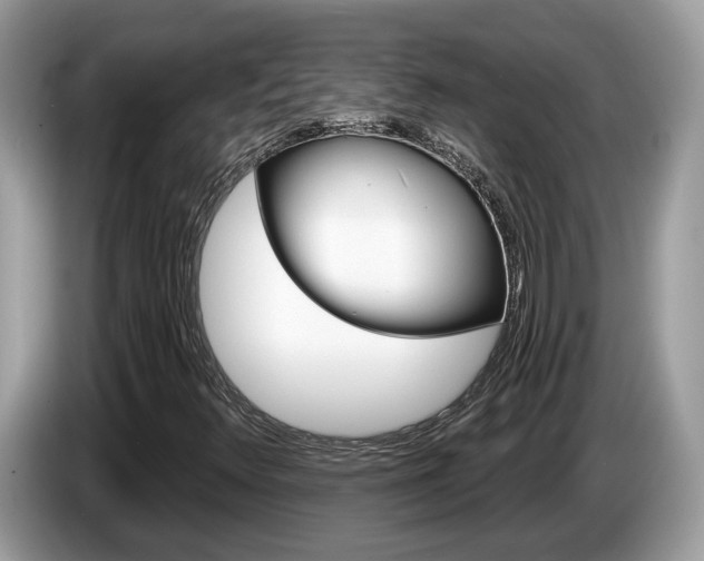 X0000087611348200704271053