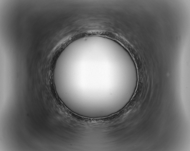 X0000087611351200704271053