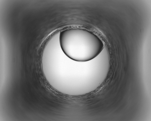 X0000087611352200704271053