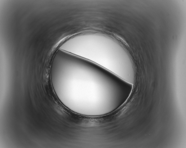 X0000087611355200704271053