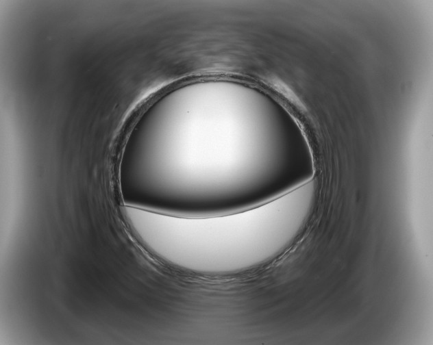 X0000087611356200704271053