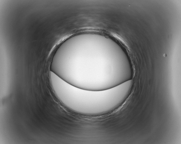 X0000087611357200704271053