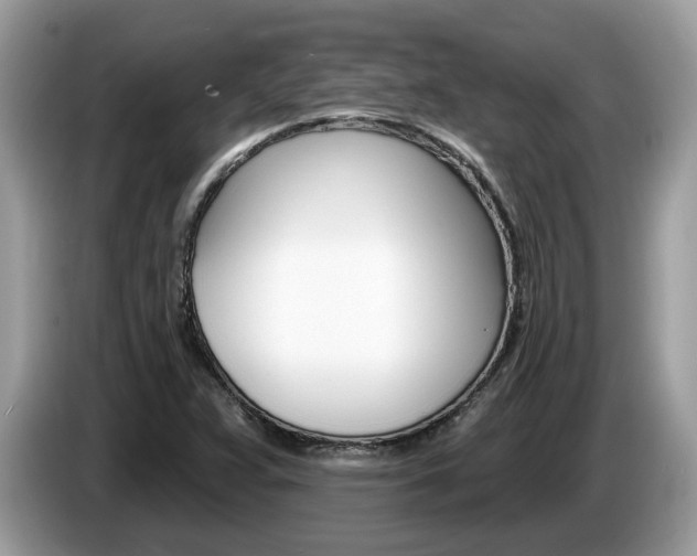X0000087611359200704271053
