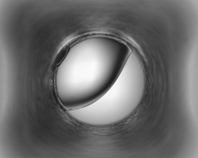 X0000087611360200704271053
