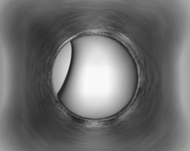 X0000087611361200704271053