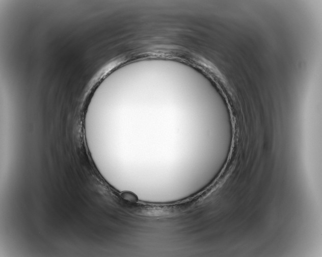 X0000087611362200704271053