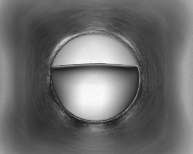 X0000087611363200704271053