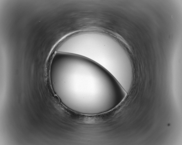 X0000087611364200704271053
