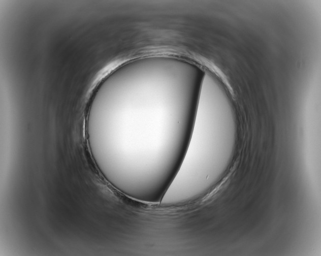 X0000087611365200704271053