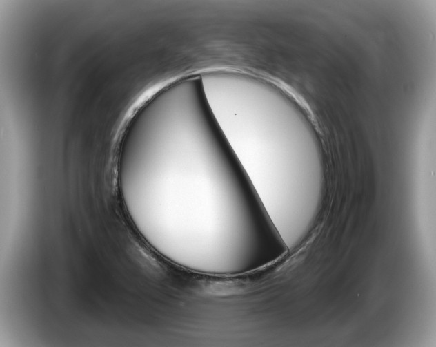 X0000087611367200704271053