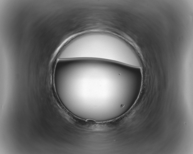 X0000087611368200704271053