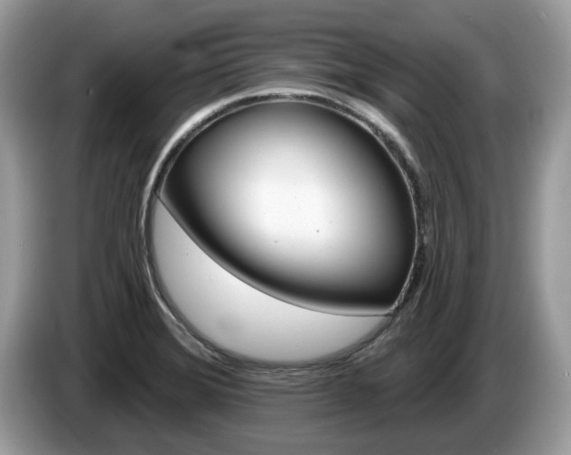 X0000087611372200704271053
