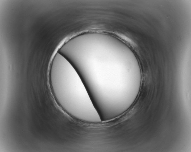 X0000087611374200704271053