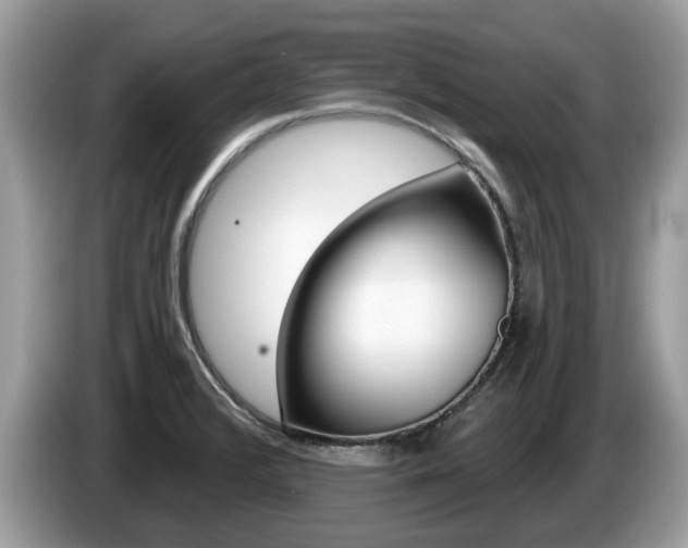 X0000087611376200704271053