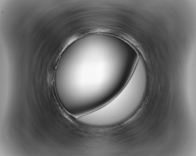 X0000087611377200704271053