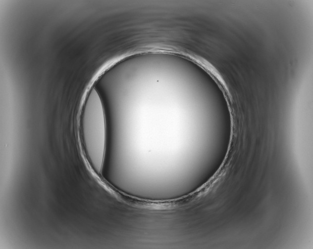 X0000087611381200704271053
