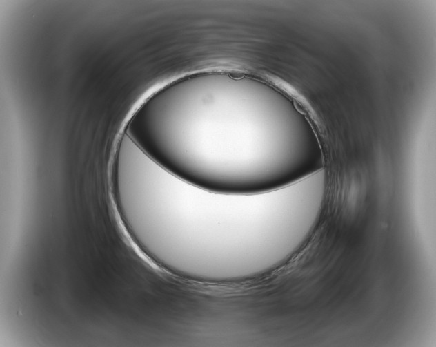 X0000087611383200704271053
