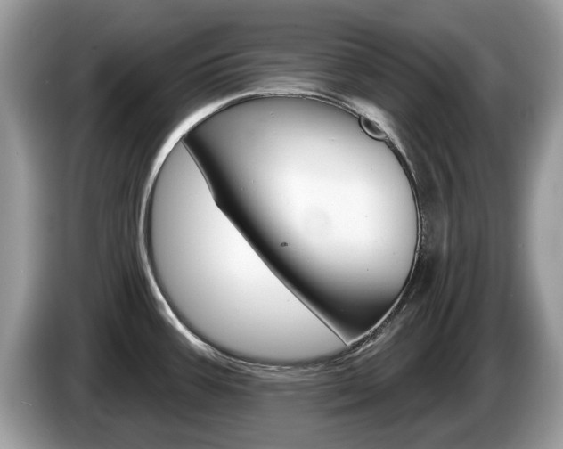 X0000087611387200704271053