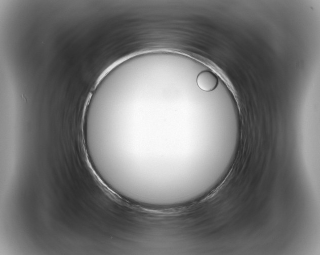 X0000087611388200704271053