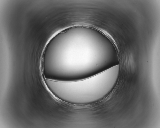 X0000087611391200704271053